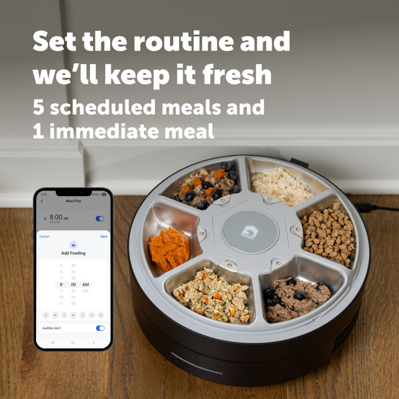 Freshfeed Refrigerated Pet Feeder, Black, Black