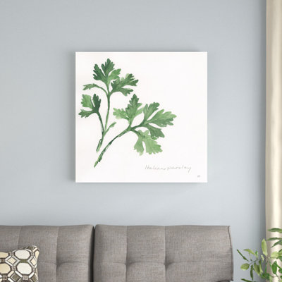 «Italian Parsley» par Chris Paschke, reproduction d'art sur toile tendue