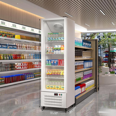 11.6 Cu.Ft Commercial Refrigerator with Glass Door, LED Light & Adjustable Shelves