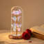 Cloche Or Water Globe-87854206