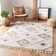 Jenckes Southwestern Area Rug