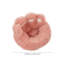 Creative Cute Bear Paw Dog and Cat Bed-1338629237-1338629239