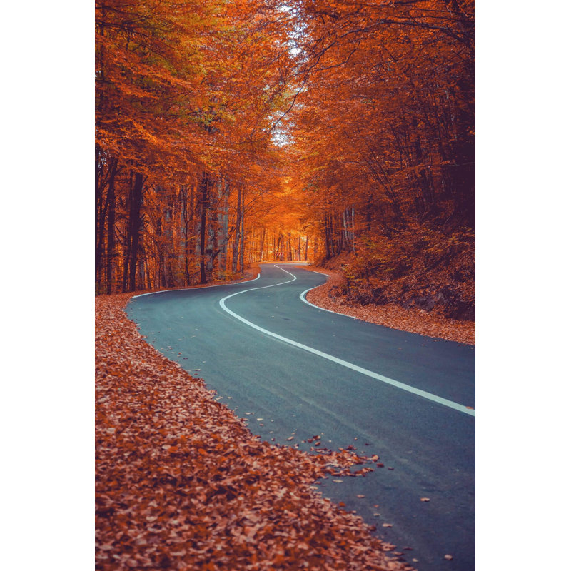 Winding Road - Photographie sur toile tendue, L 12 po x H 18 po