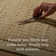 Amber Lewis x Loloi Lilah Natural / Antique Ivory Area Rug