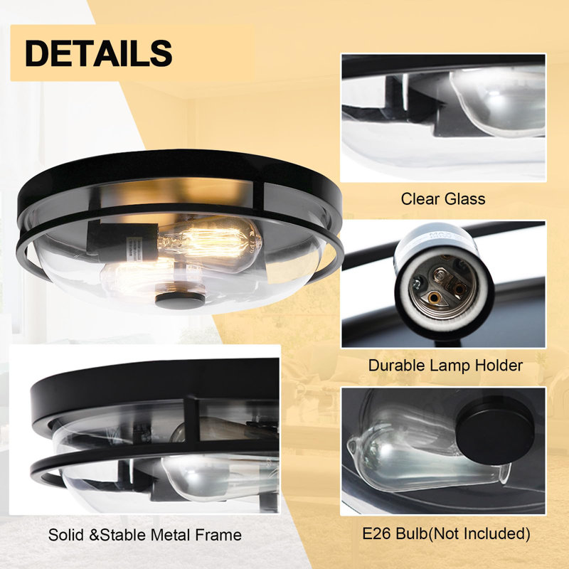Flush Mount Ceiling Light with Clear Glass Shade, Black