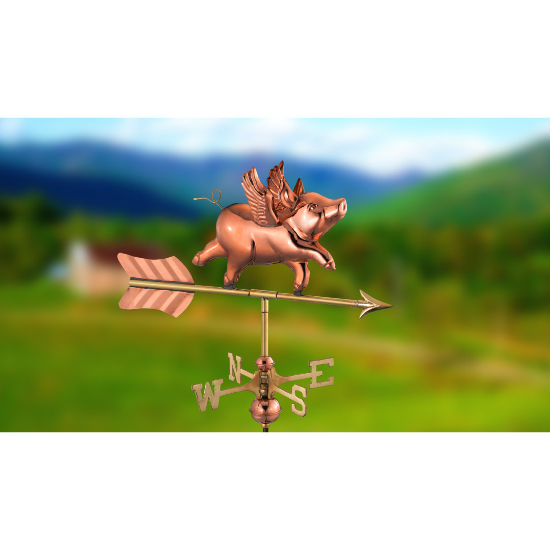 Flying Pig  Weathervane Trinx 