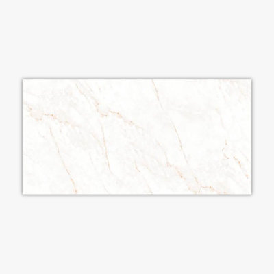 Calacatta Glam 24"" x 48"" Porcelain Marble Look Wall & Floor Tile -  Direct Stone Source, POR10022-MPN