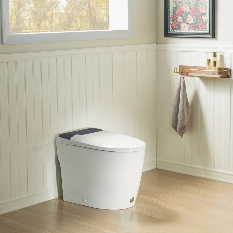 Toilette une pièce, toilette non électrique, Dark Gray