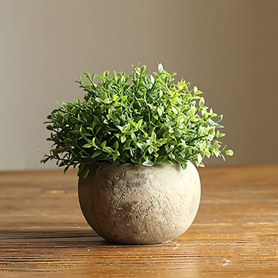 Simulation de plantes vertes, petites plantes en pot, décorations de bureau, paresseux nordique, plantes Biomimetic, fleurs artificielles succulentes, petites plantes en pot