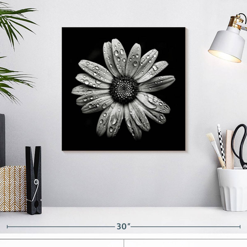 Harnek Backyard Flowers BW I, 16" H x 16" W