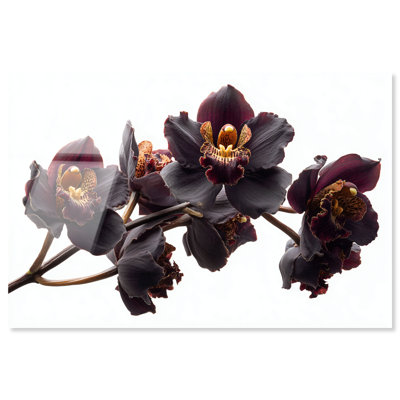 «Dark Orchid II», reproduction d'art sur toile par Notoriart, prête à être accrochée, 24 x 16