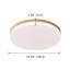 Trotman Acrylic LED Flush Mount