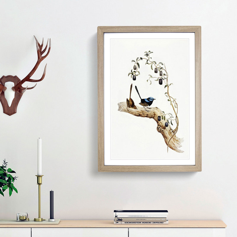 Long-Tailed Wrens by Elizabeth Gould - Picture Frame Painting Print, 36cm H x 27cm W x 2cm D, Oak Framed