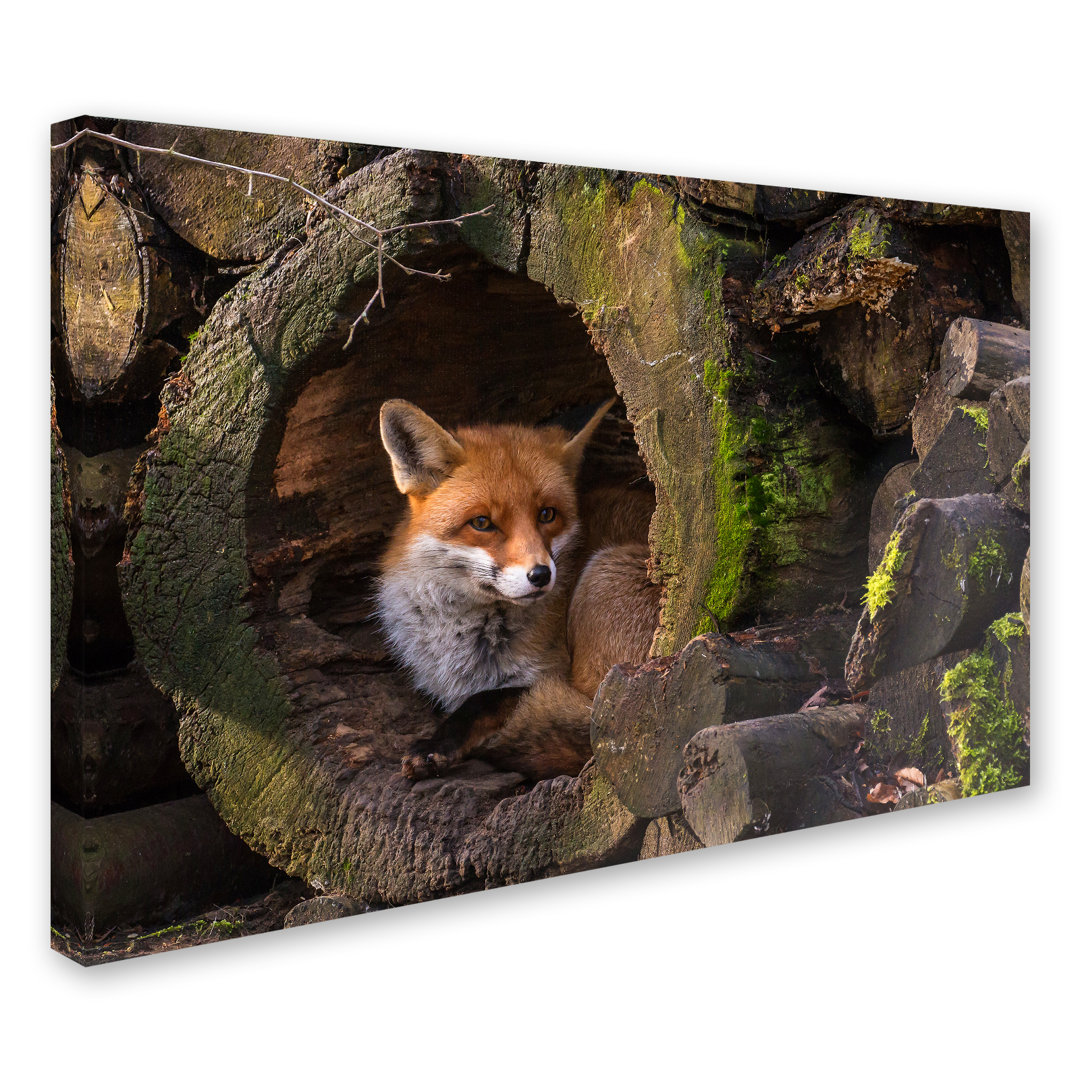'Fox II' Photographic Print on Wrapped Canvas Millwood Pines