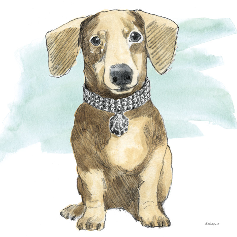 Glamour Pups IX by Beth Grove - Wrapped Canvas Art Prints, 122cm H x 122cm W x 3.8cm D