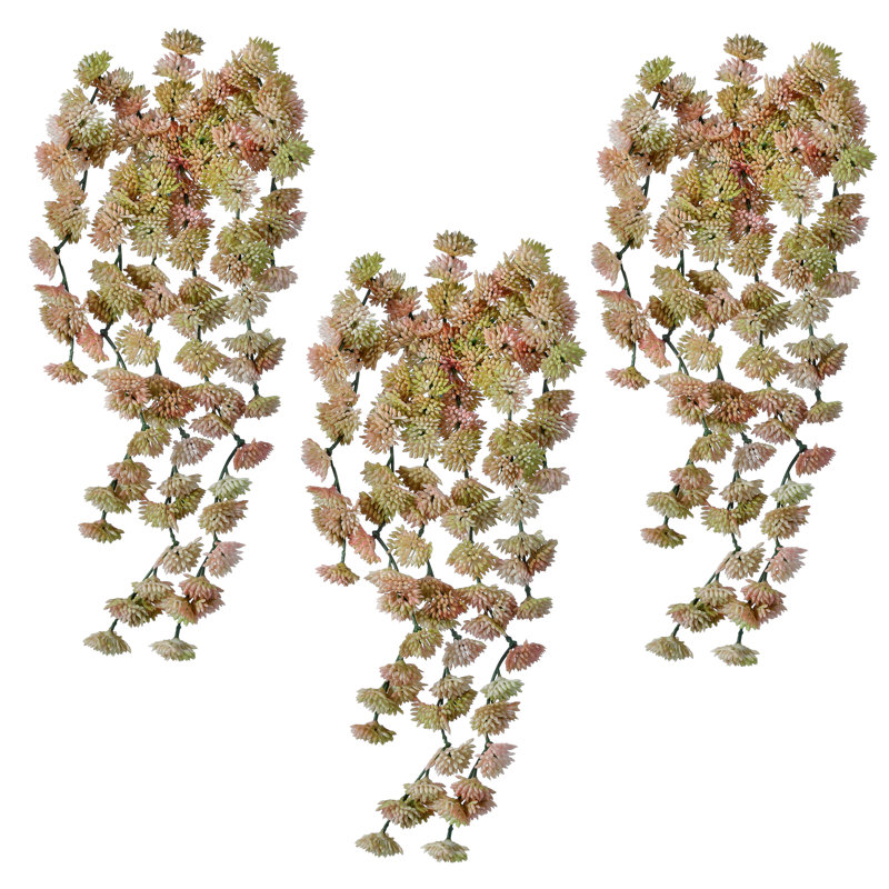 10 po en plastique naturel, Rosé