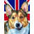 Corgi (beige et blanc) sélectionné
