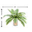 Rockwood Faux Plant in Glass Vase