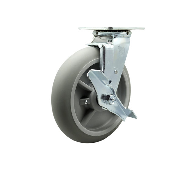 Service Caster Stainless Steel Poly on Aluminum Swivel Caster - Wayfair  Canada