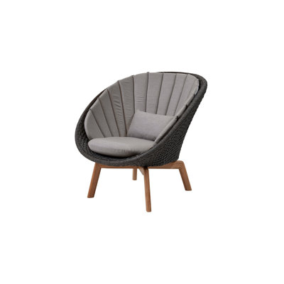 Peacock Papasan Chair with Teak Legs
