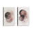 Shadowed Rose Set of 2-370547995-370547990