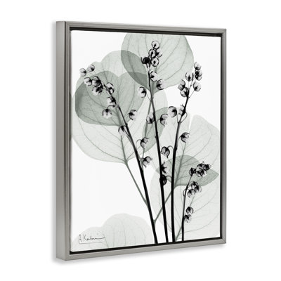 Cadre flottant Fresh Minimalist Herbs, design par Albert Koetsier
