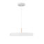 1 - Light LED Single Pendant-899034797