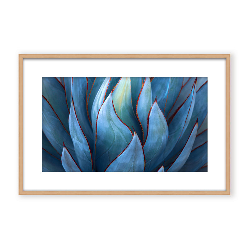 Nature Inspired Blue Agave Abstract by  - Picture Frame Graphic Art on Paper, 16" H x 24" W x 1.125" D, Black