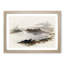 Crocodiles on the River Nile by David Roberts - Framed Print-55621262-55621266