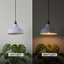 1 - Light Dome Pendant-1081288120