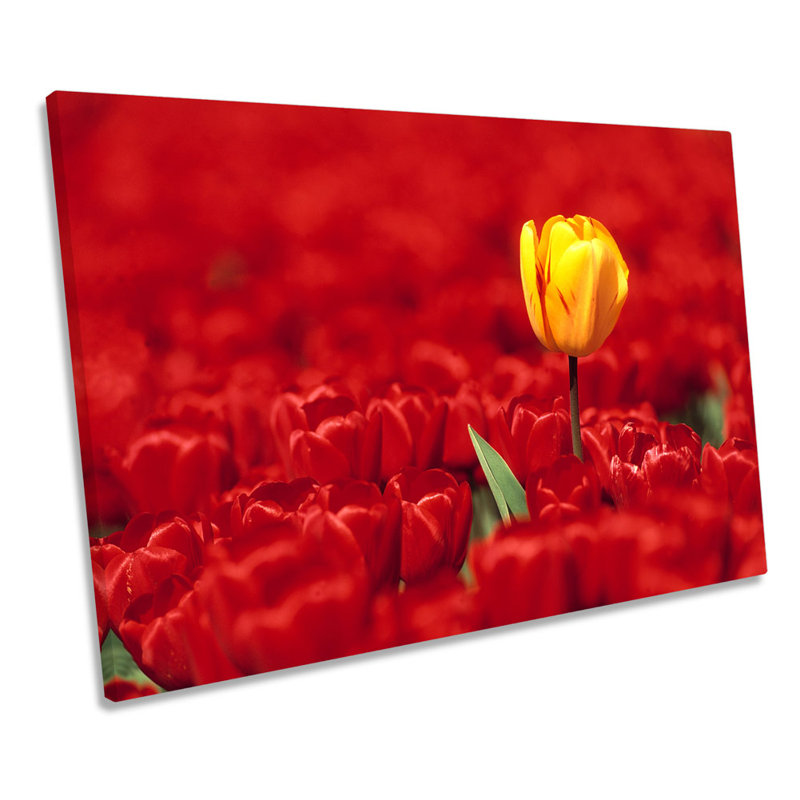 Tulips Flowers - Wrapped Canvas Print, 40.6cm H x 61cm W