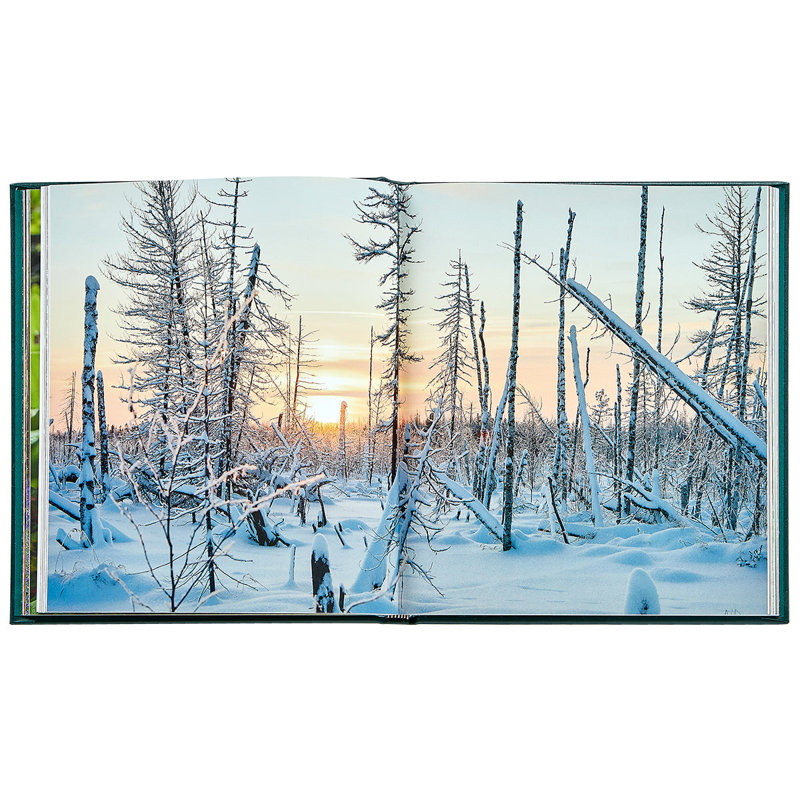 The Hidden Life Of Trees Leather Bound Book
