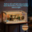 Hamster Cage-196319171