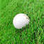 Grand tapis de golf ovale ovale vert de pratique de golf pour l'intérieur et l'extérieur