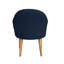 50 cm H Upholstered Slat Back Armchair-1297269438