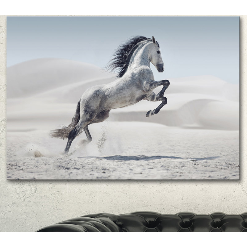 Photographie d'un cheval blanc au galop, H 8 po x l 12 po x P 1 po, Toile tendue