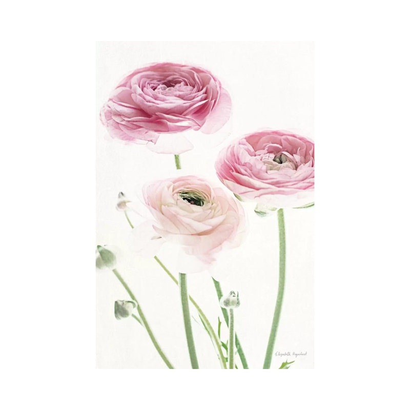 Light And Bright Floral VI by Elizabeth Urquhart - Wrapped Canvas Painting, 66.04 cm H x 45.72 cm W x 3.175 cm D