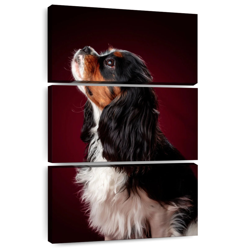 Brampt Begging Spaniel Puppy, 38" H x 24" W