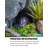 Impression Inheritance Cement Rockery Circulating Water Ornament