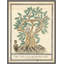 The Tree Of Modern Art Print