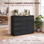 5 -Drawer 1 -Door Rectangle Accent Chest-508636993