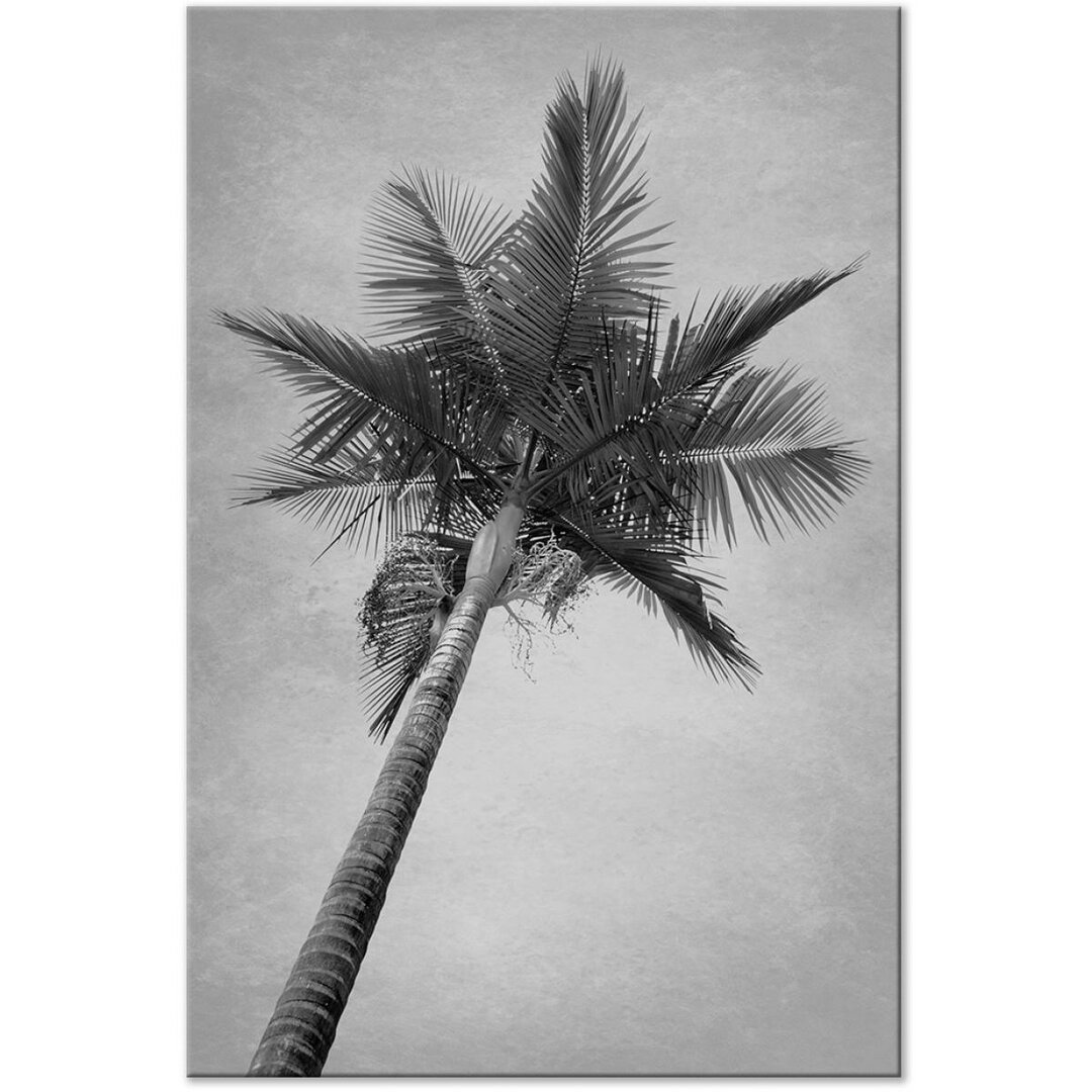 Leinwandbild High Palm Tree