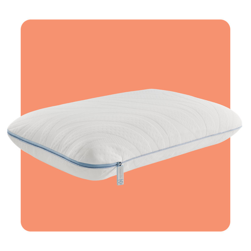 Sealy Dreamlife Performance Foam Medium Pillow, Standard