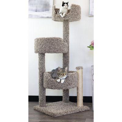 Cat Perch