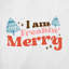 Coussin ChristmasFunny-12-1308285361