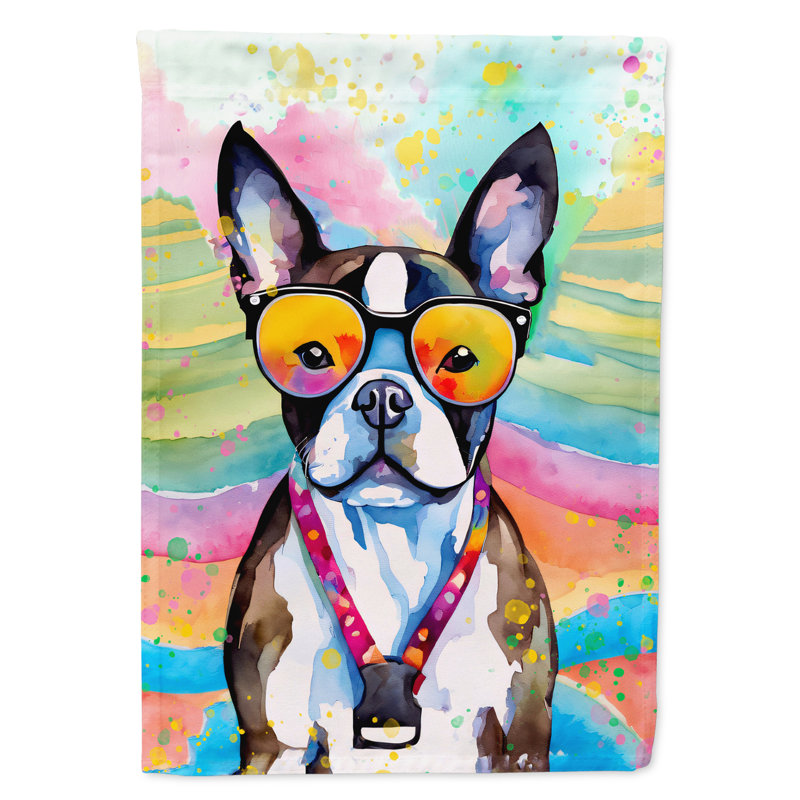 Drapeau de la maison Hippie Dawg, Boston-terrier