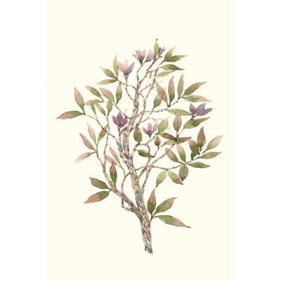 Twig Study II by Timothy O' Toole - Wrapped Canvas Painting