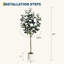 29.53cm Plant
