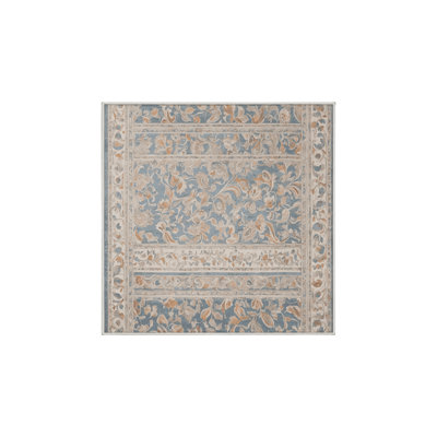 Machine Washable Beige Area Rug