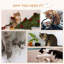 Ensemble de tablettes murales pour chat 6 pièces Pawhut